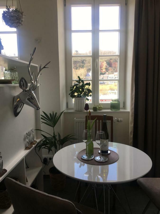 Apartment Am Zurlaubener Ufer Trier Eksteriør billede